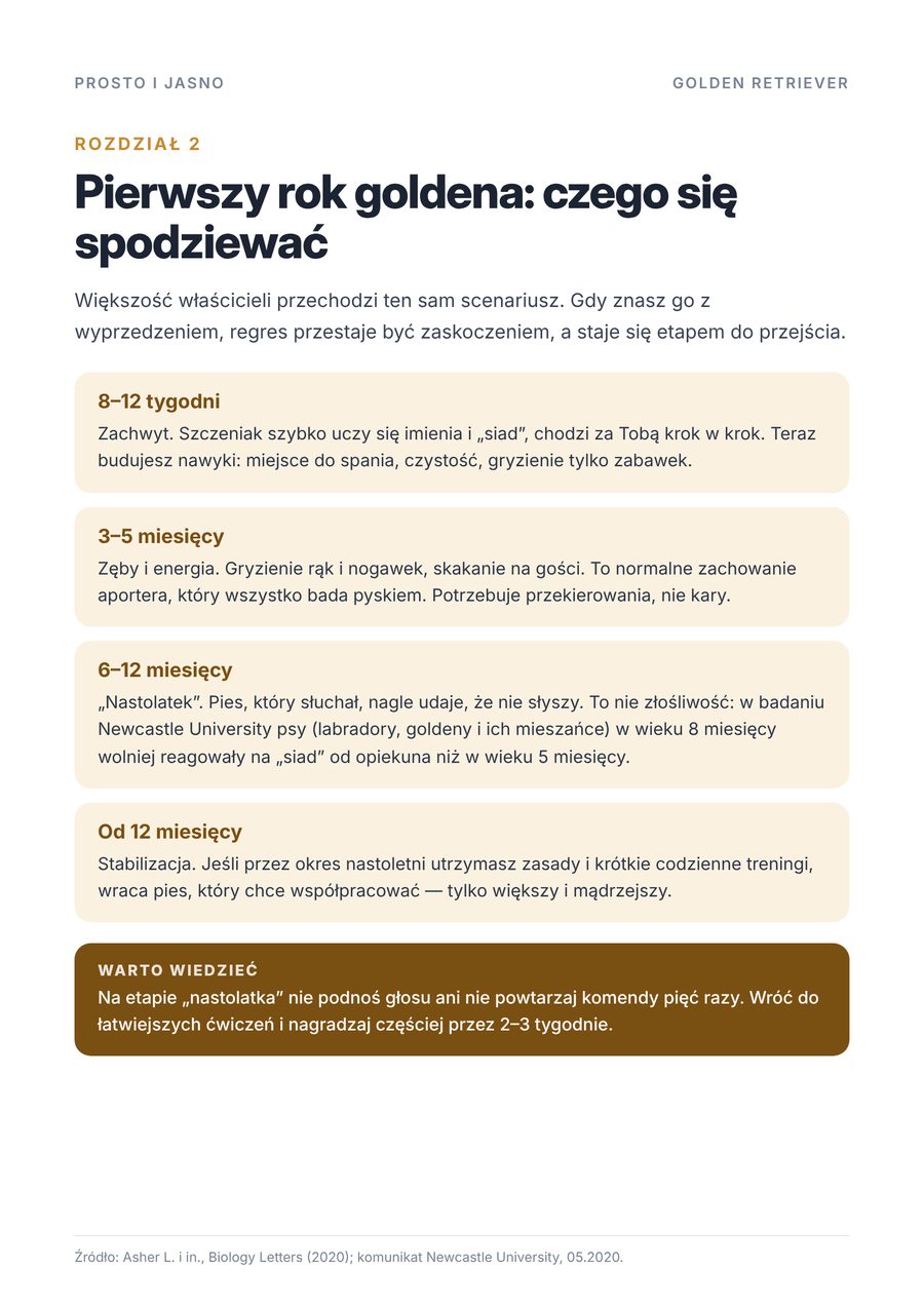 Strona próbna 1