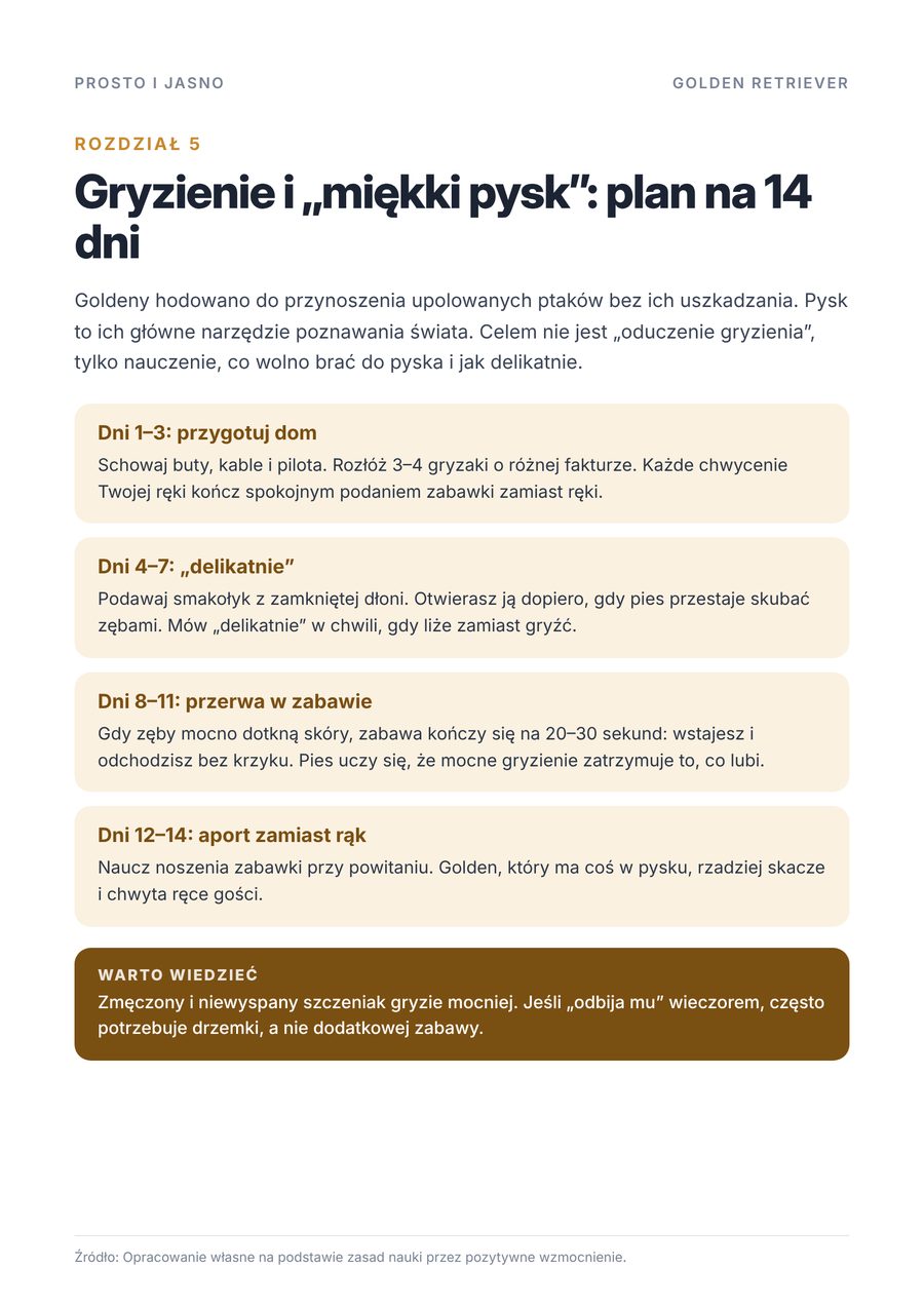 Strona próbna 2
