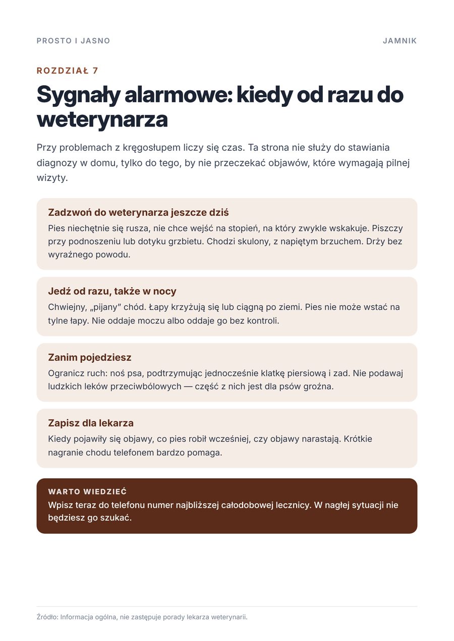 Strona próbna 2