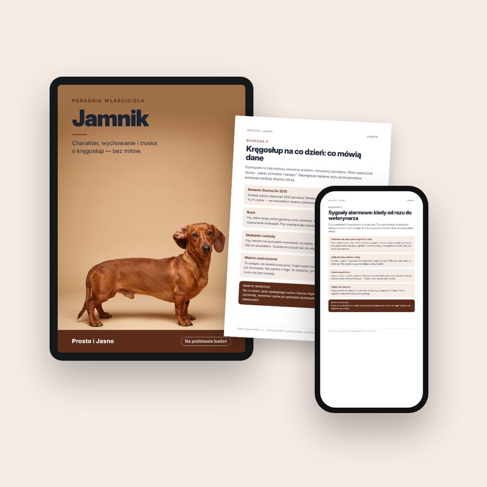 Jamnik — okładka i strony poradnika